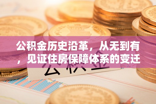 山南公积金历史沿革，从无到有，见证住房保障体系的变迁