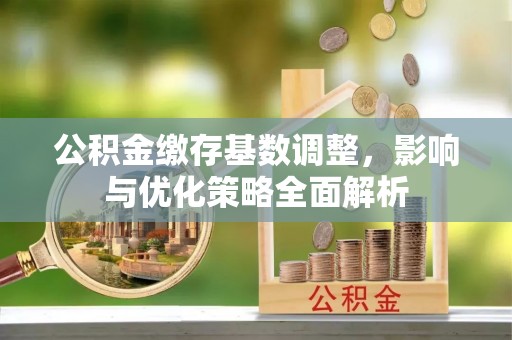 山南公积金缴存基数调整，影响与优化策略全面解析