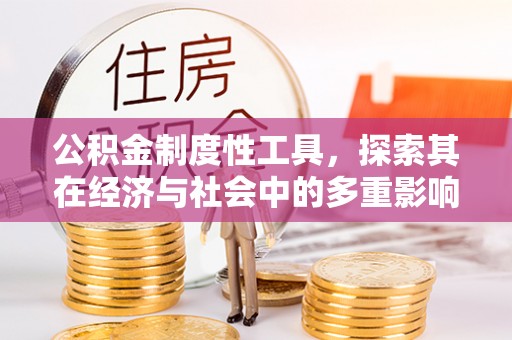 山南公积金制度性工具，探索其在经济与社会中的多重影响