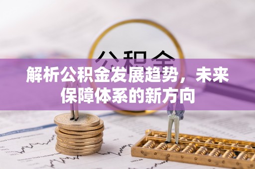 山南解析公积金发展趋势，未来保障体系的新方向