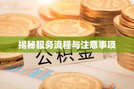 山南揭秘服务流程与注意事项