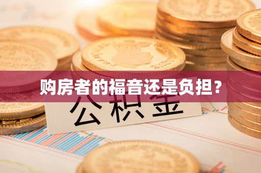 山南购房者的福音还是负担？