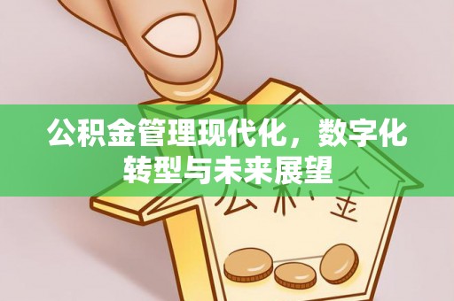 山南公积金管理现代化，数字化转型与未来展望
