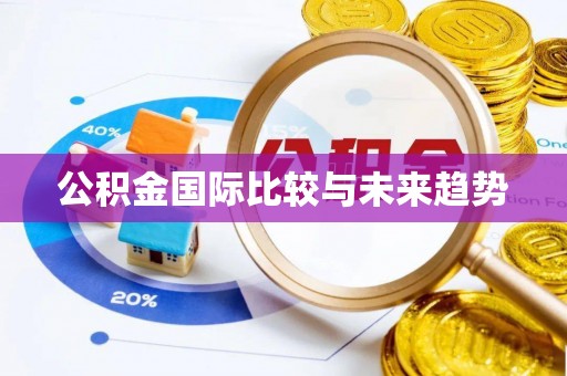 山南公积金国际比较与未来趋势