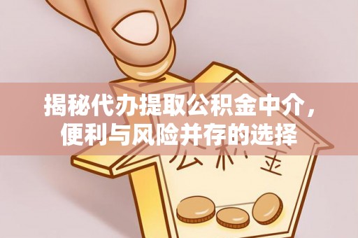 山南揭秘代办提取公积金中介，便利与风险并存的选择