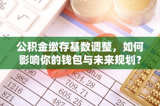 山南公积金缴存基数调整，如何影响你的钱包与未来规划？