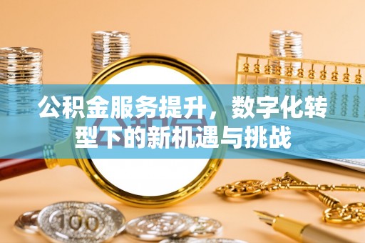 山南公积金服务提升，数字化转型下的新机遇与挑战