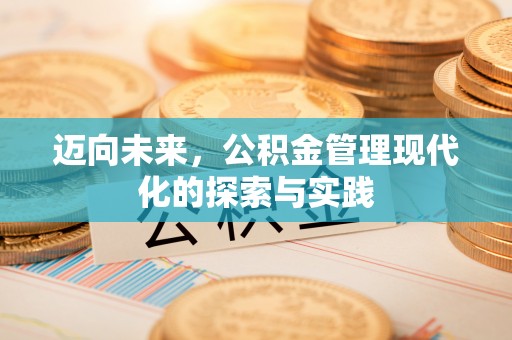 山南迈向未来，公积金管理现代化的探索与实践