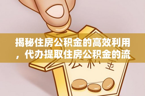 山南揭秘住房公积金的高效利用，代办提取住房公积金的流程与技巧