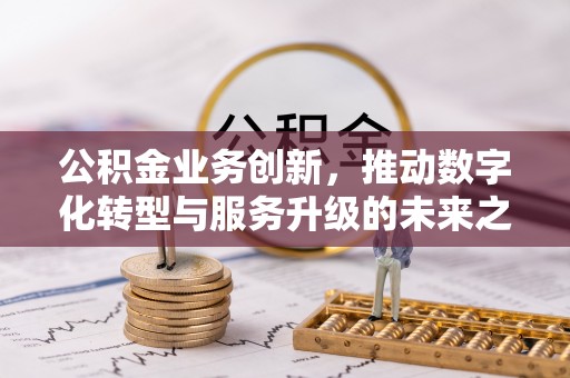 山南公积金业务创新，推动数字化转型与服务升级的未来之路