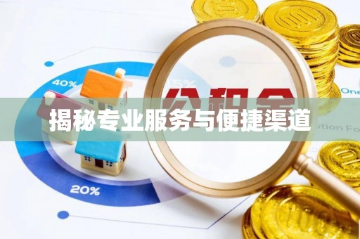 山南揭秘专业服务与便捷渠道
