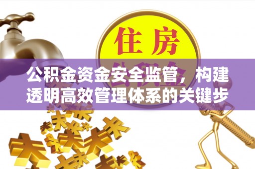 山南公积金资金安全监管，构建透明高效管理体系的关键步骤