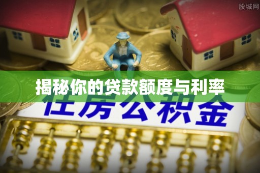 山南揭秘你的贷款额度与利率