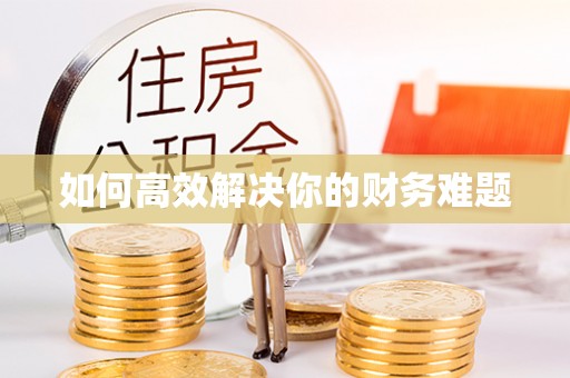 山南如何高效解决你的财务难题