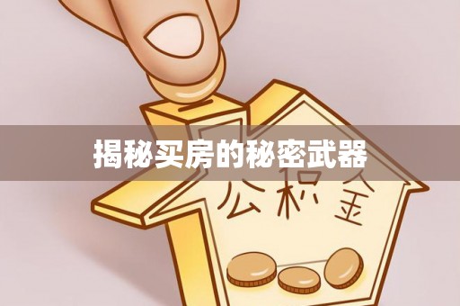 山南揭秘买房的秘密武器