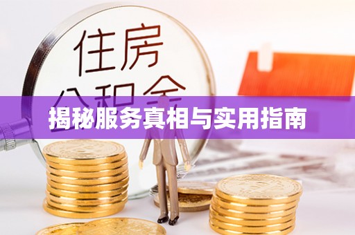 山南揭秘服务真相与实用指南