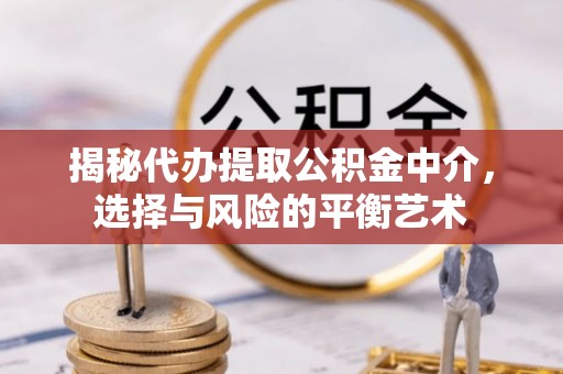 山南揭秘代办提取公积金中介，选择与风险的平衡艺术
