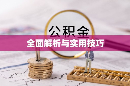 山南全面解析与实用技巧