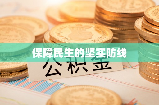 山南保障民生的坚实防线