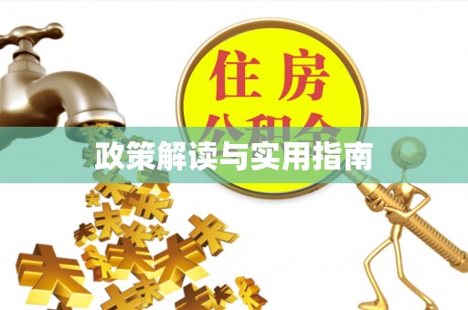山南政策解读与实用指南