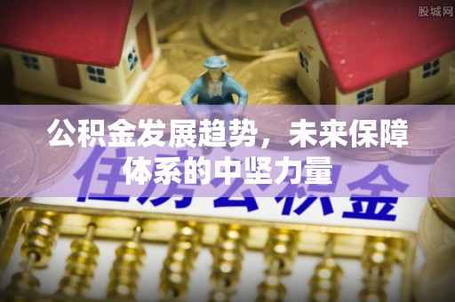 山南公积金发展趋势，未来保障体系的中坚力量