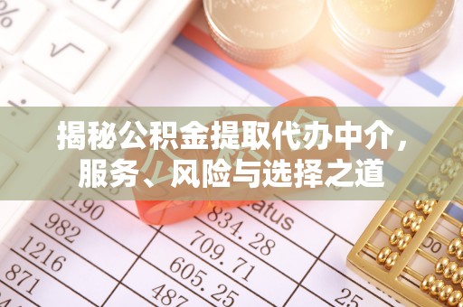 山南揭秘公积金提取代办中介，服务、风险与选择之道