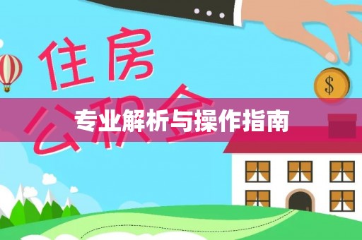 山南专业解析与操作指南