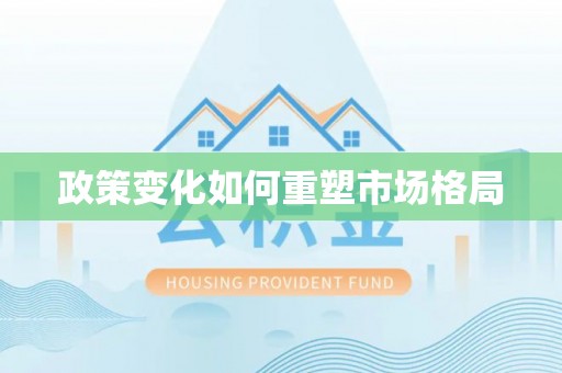 山南政策变化如何重塑市场格局