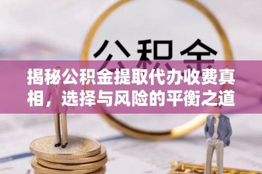 山南揭秘公积金提取代办收费真相，选择与风险的平衡之道