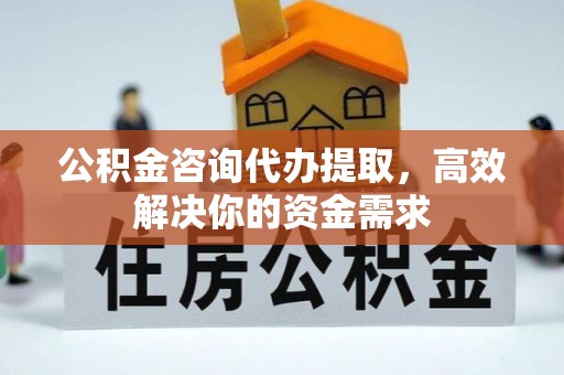 山南公积金咨询代办提取，高效解决你的资金需求