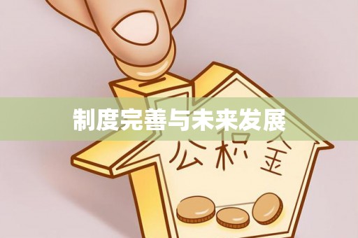 山南制度完善与未来发展