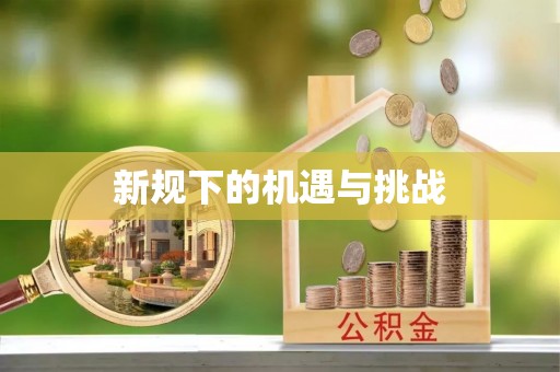 山南新规下的机遇与挑战
