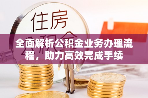 山南全面解析公积金业务办理流程，助力高效完成手续