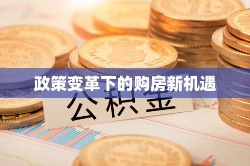 山南政策变革下的购房新机遇