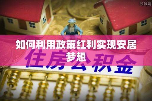山南如何利用政策红利实现安居梦想
