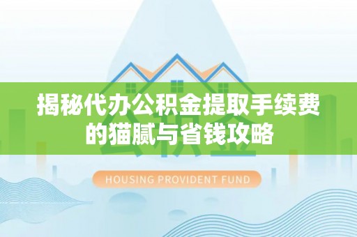山南揭秘代办公积金提取手续费的猫腻与省钱攻略