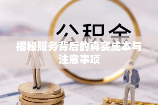 山南揭秘服务背后的真实成本与注意事项