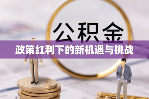 山南政策红利下的新机遇与挑战