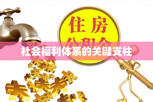 山南社会福利体系的关键支柱