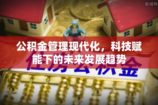 山南公积金管理现代化，科技赋能下的未来发展趋势