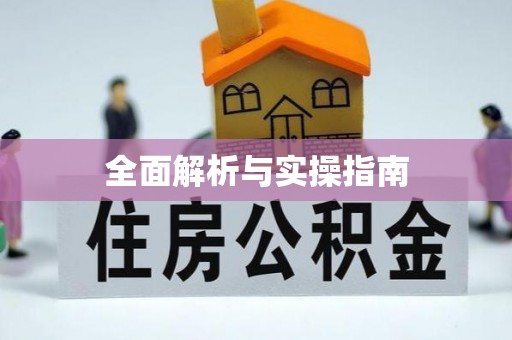 山南全面解析与实操指南
