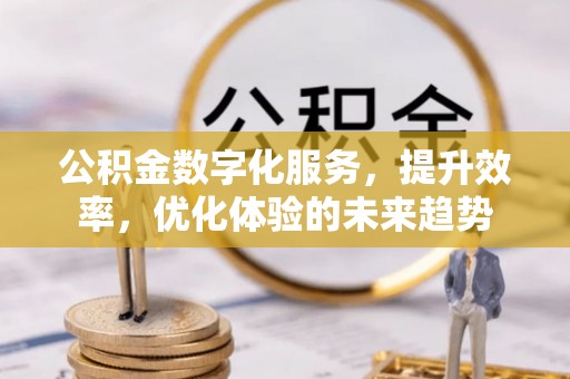 山南公积金数字化服务，提升效率，优化体验的未来趋势