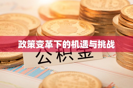 山南政策变革下的机遇与挑战