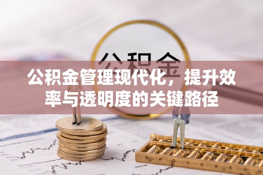 山南公积金管理现代化，提升效率与透明度的关键路径