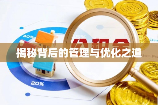 山南揭秘背后的管理与优化之道