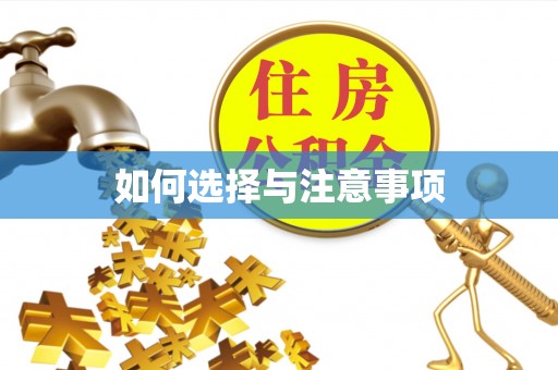 山南如何选择与注意事项
