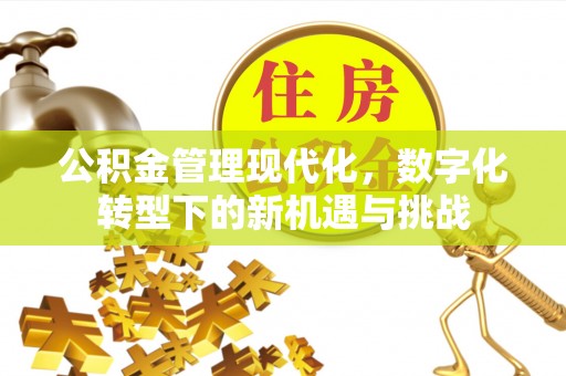 山南公积金管理现代化，数字化转型下的新机遇与挑战