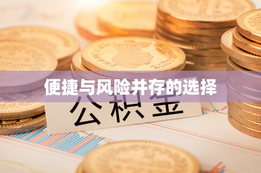 山南便捷与风险并存的选择