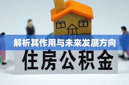 山南解析其作用与未来发展方向