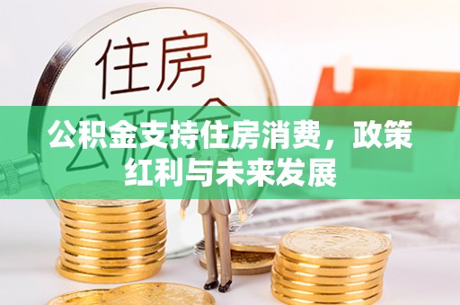 山南公积金支持住房消费，政策红利与未来发展